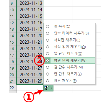 엑셀 자동채우기 옵션